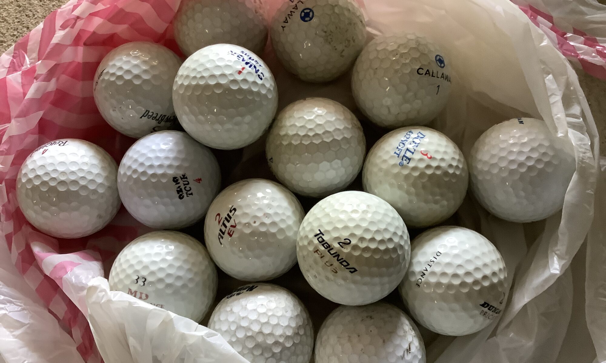 福山市草戸町で回収したゴルフボール