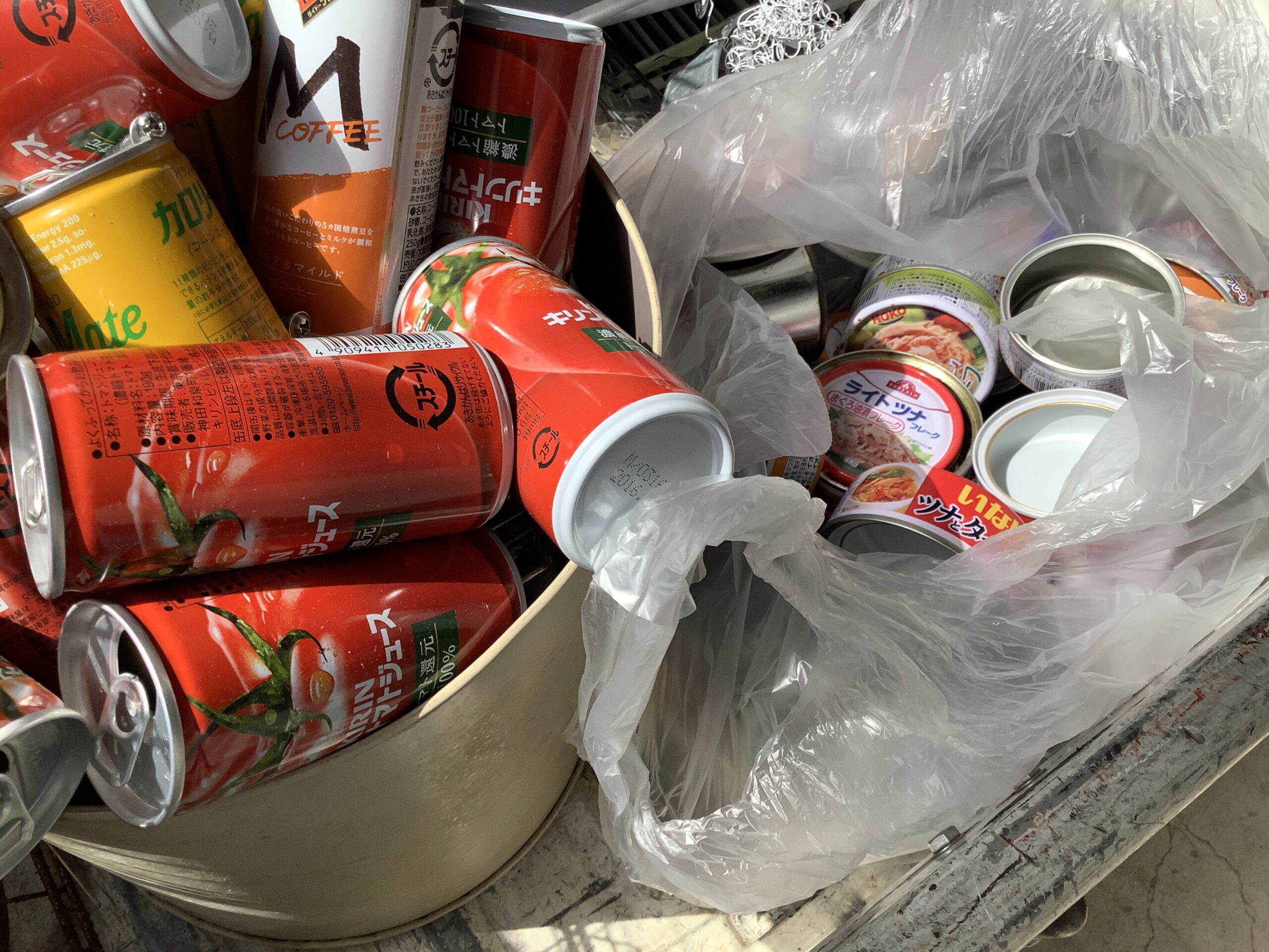 福山市今津町で回収した空き缶