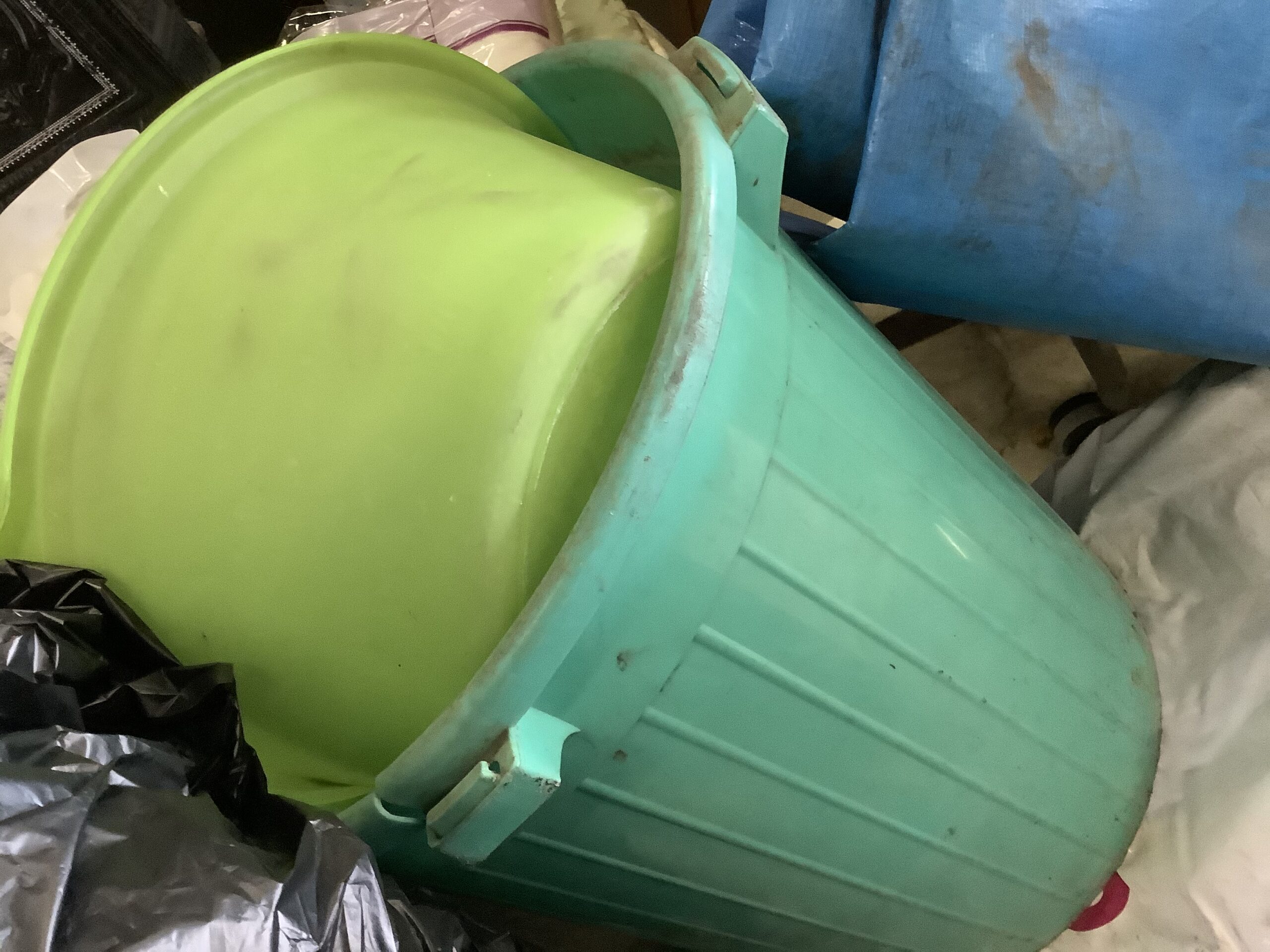 福山市金江町で回収したポリ容器