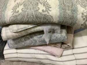 福山市駅家町で処分した不用品